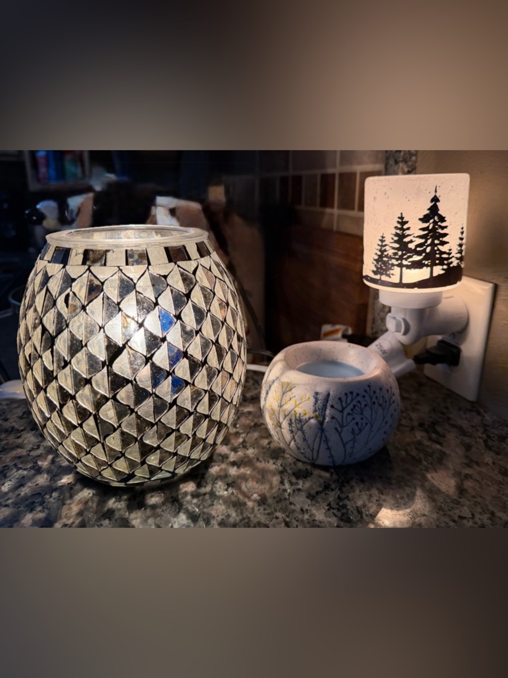 3 Scentsy Warmers (Time to Reflect, Wild Blooms, and Wildlife Mini)